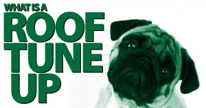 What is a Roof Tune Up