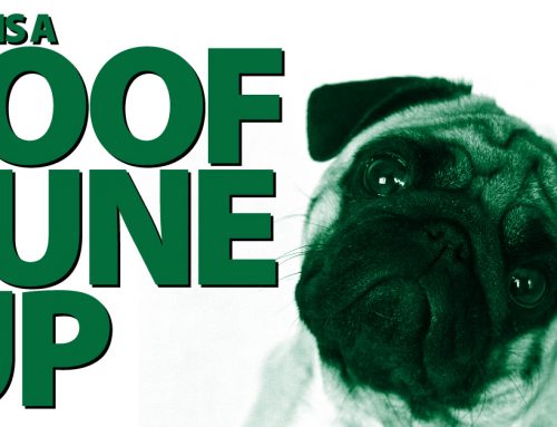 What Is A Roof Tune Up?